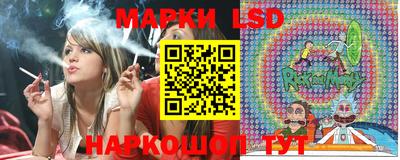 стаф Обнинск