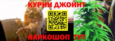 СК Обь
