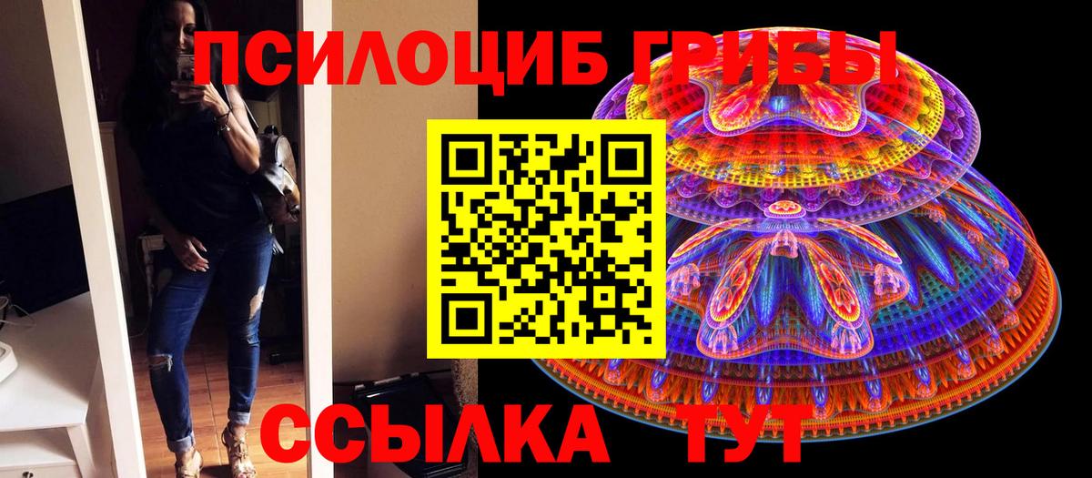 Псилоцибиновые грибы Psilocybine cubensis Соликамск