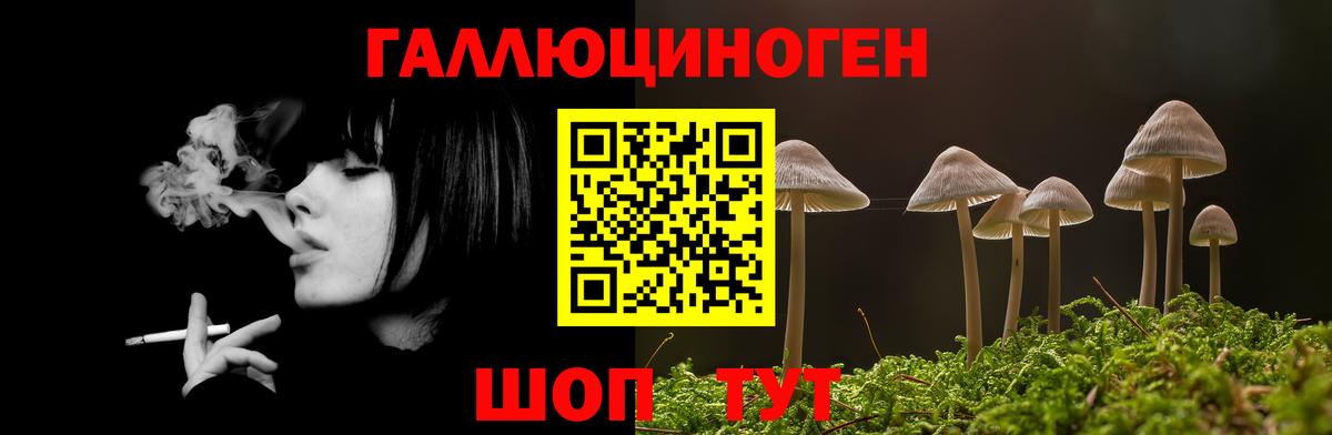 Соликамск  Галлюциногенные грибы Magic Shrooms  Вход с VPN 